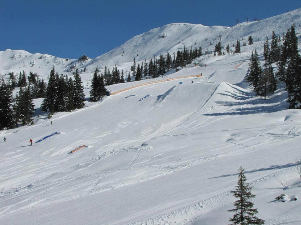 Landgut Hotel Plannerhof Planneralm エクステリア 写真