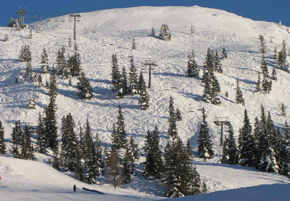 Landgut Hotel Plannerhof Planneralm エクステリア 写真